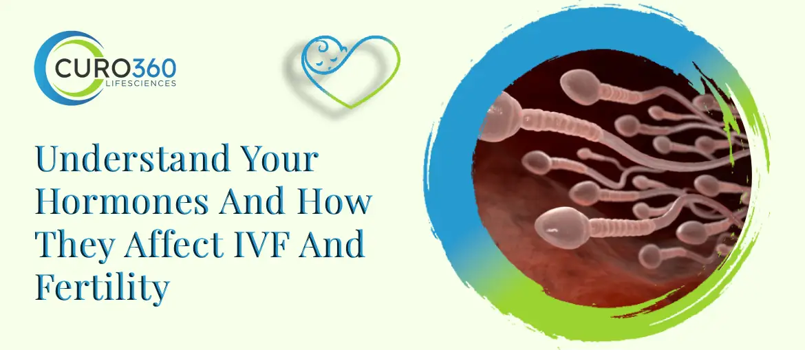 Understand Your Hormones And How They Affect IVF And Fertility